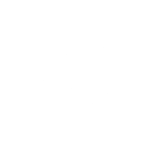 NY Marketing Association Logo